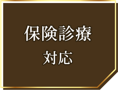 保険診療対応